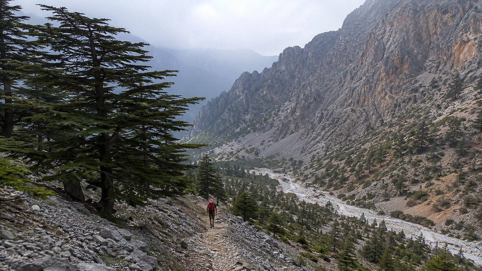 image-10.jpg