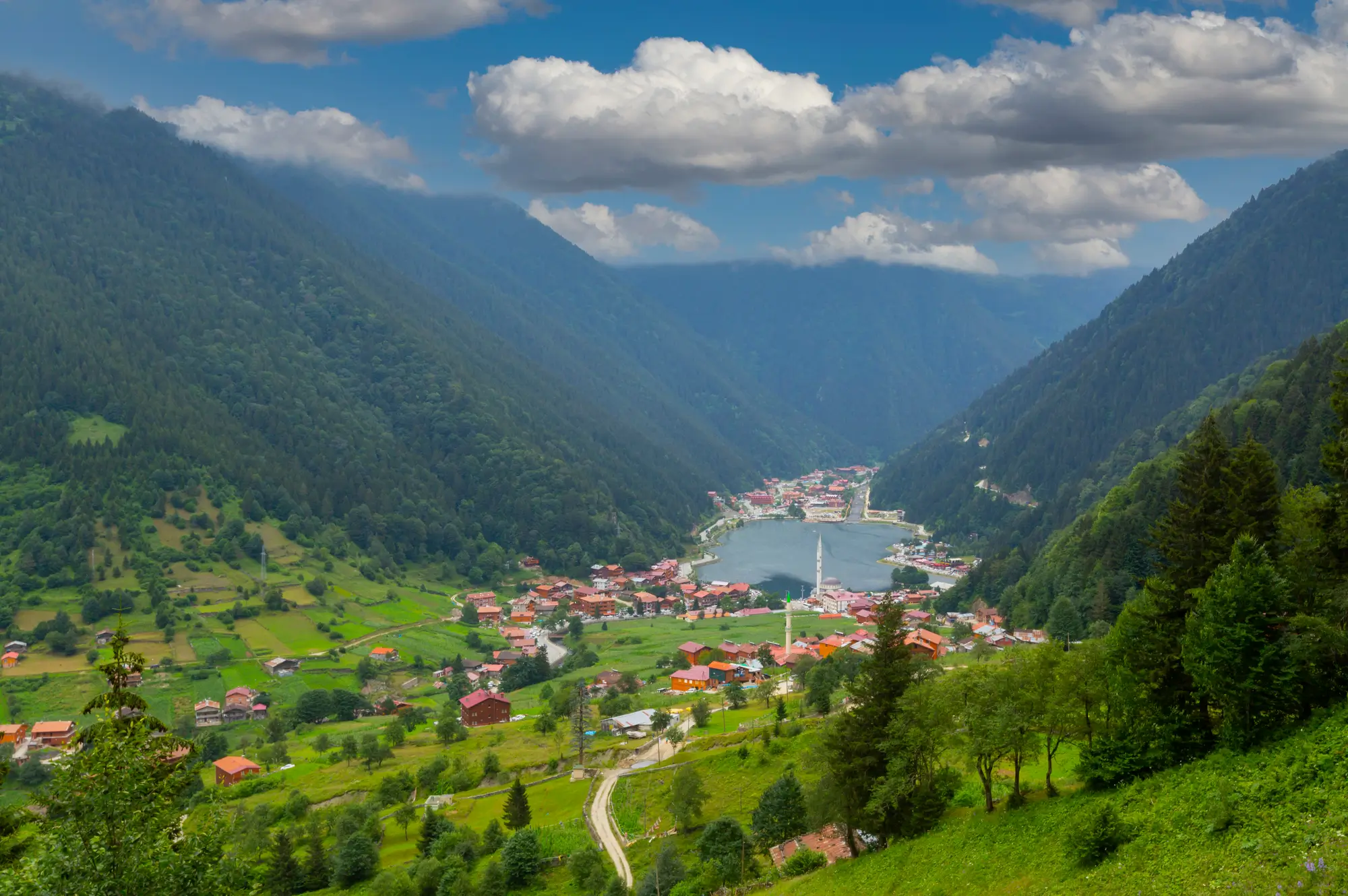 Pronto DMC | Northern Anatolia (Black Sea Coast, Trabzon, Sinop)